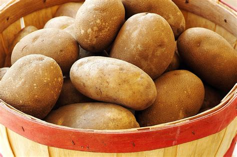 Organic Russet Potatoes 10 Lbs