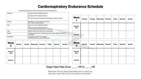 Cardiovascular Endurance Exercise Plan Eoua Blog