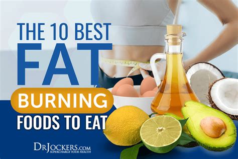The 10 Best Fat Burning Foods To Eat