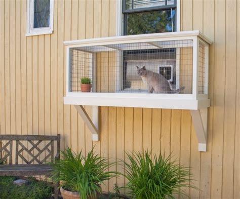 Building An Outdoor Cat Enclosure Us Pets Love