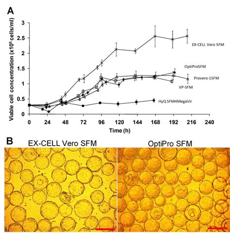 Vero Cell Microcarrier Cultivation In Different Commercial Serum Free