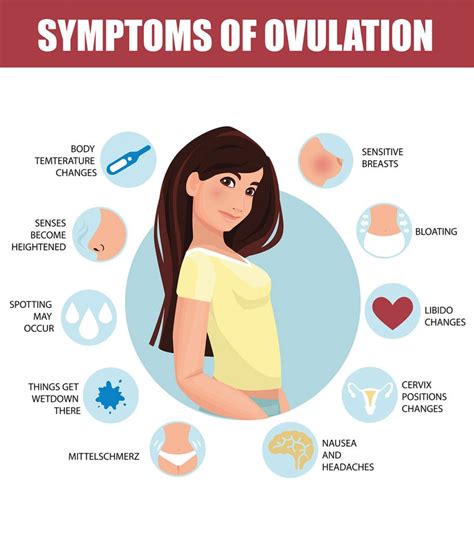 Most Common Ovulation Symptoms And Signs Editorialge