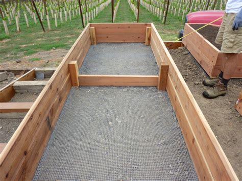 Your plants (and wallet) will thank you. Savvy Housekeeping » All About Raised Beds