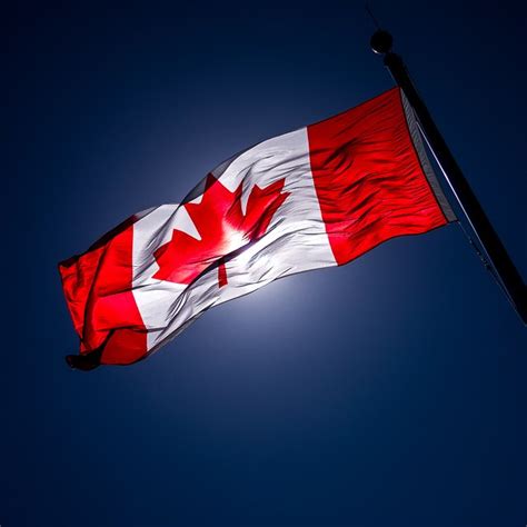 While the widely recognized maple leaf flag is a universally recognized symbol of canada in the 21st century, it took many years for canada's national flag to reach that status. Why Is the Maple Leaf a Canadian Symbol? | Synonym