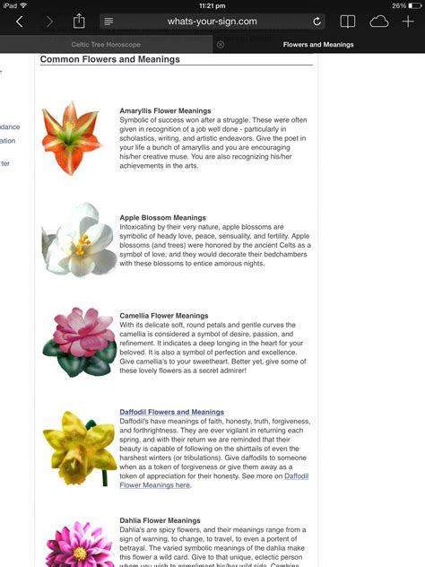 Flower meanings | Flower meanings, Flowers and meanings ...