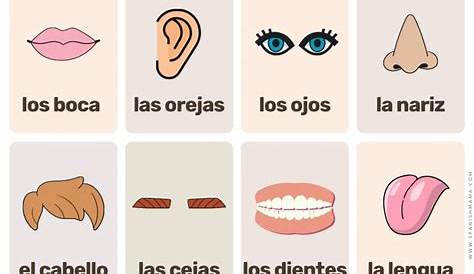 Free Printable Spanish Flashcards For Kids (and posters!) | Spanish Mama