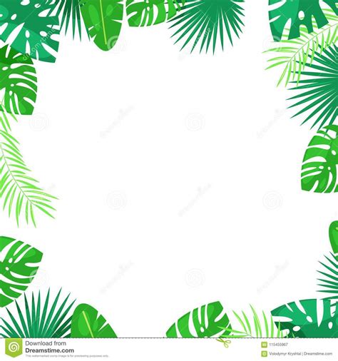 tropical palm leaves vector square frame white background with place for text jungle summer