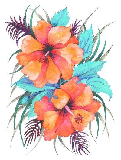 flowers drawings inspiration tropical flower orange