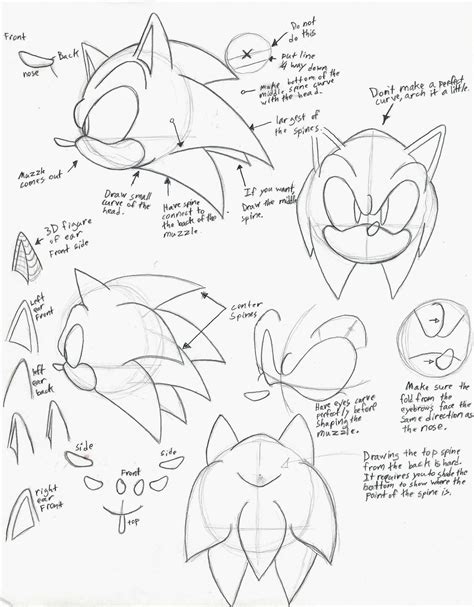 How To Draw Sonic Characters Heightcounter5