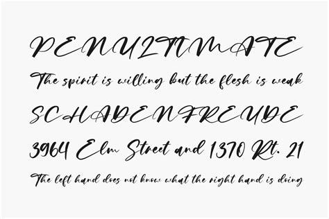 Limited Edition Free Font 02 Fonts Shmonts
