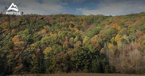 Best Trails In Yellow Creek State Park Pennsylvania Alltrails