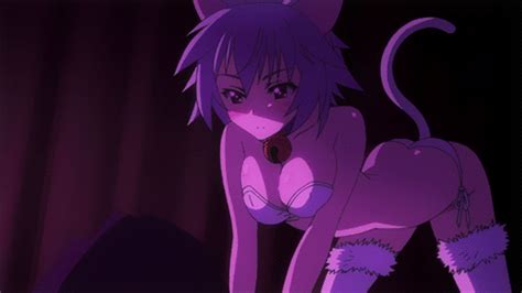 Random Cat Girl Pictures Anime Amino