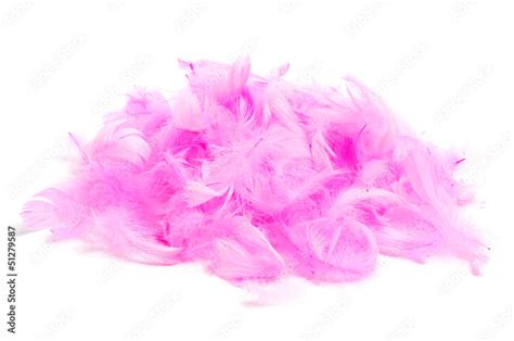 Pink Feathers Stock Photo Adobe Stock