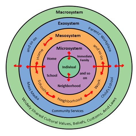 Bioecological Model Psychology Wiki