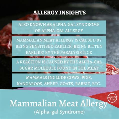 Mammalian Meat Allergy Is Also Known As Alpha Gal Syndrome Ags Or