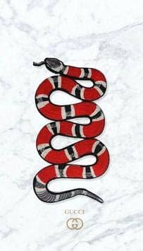 Gucci wallpaper wallpaper for iphone gucci wallpaper gucci iphone wallpapers top free gucci iphone backgrounds gucci logo wallpapers wallpaper cave. Gucci Wallpaper HD 4K for Android - APK Download