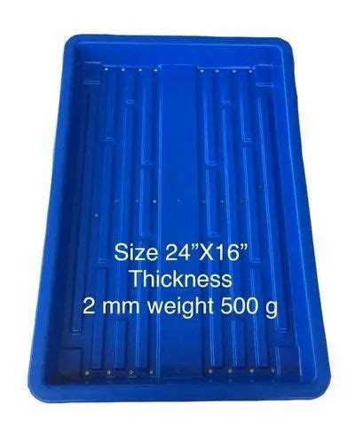 Plastic Rectangular Hydroponic Fodder Tray At Rs 120piece In Bilaspur