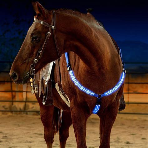 Night Visible Led Lights Horse Riding Bridle Halter Equestrian Horse