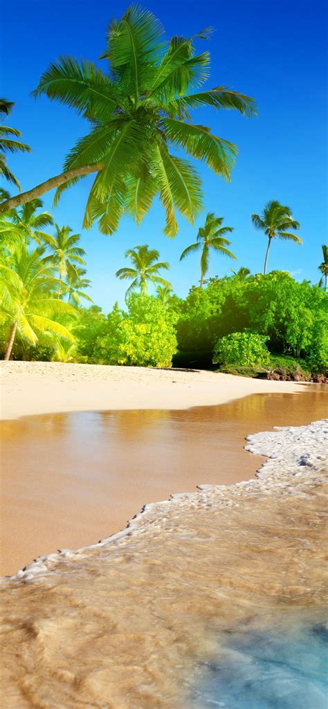 Обои пляж море побережье тропическая зона берег для iphone xs max бесплатно заставка