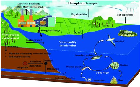 Schematic Of Industrial Pollution On The Aquatic And Soil Ecosystems Download Scientific Diagram