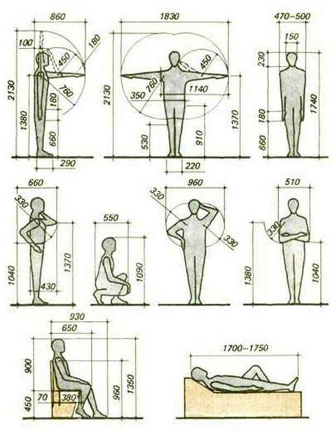 History And Basics Of Anthropometry