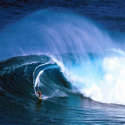 Hawaiian scampi, hot & spicy, spicy pineapple, or lemon pepper. Where to Watch Big Wave Surfing on Maui | Travel + Leisure