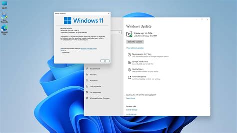 Windows 11 Leaked Dev Build 219961 Consumer Edition
