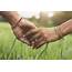 Why Holding Hands Is Good For You  1079 The Link