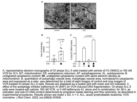 美国apexbio中文官网 Bafilomycin A1v Atpase Inhibitorselective And