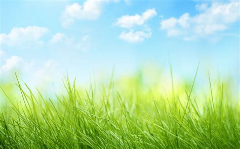 Grass Sky Wallpapers Group 77