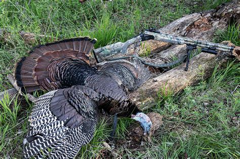 Why You Should Shoot An Over Under Shotgun This Turkey Seaso Petersen
