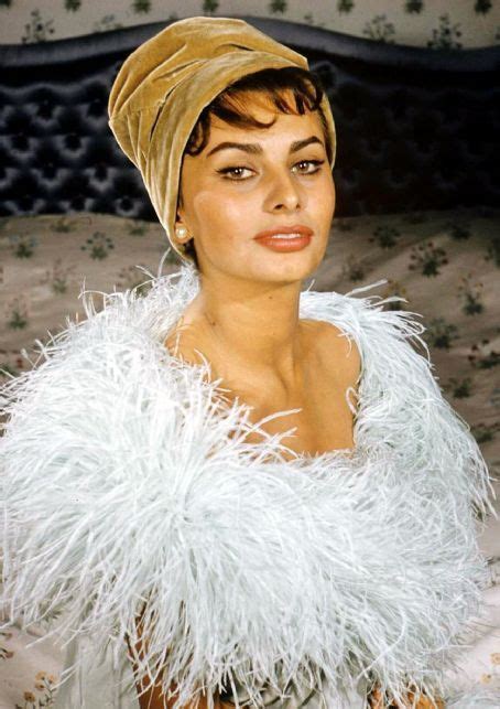 Sophia Loren Sophia Loren Photo 10175059 Fanpop