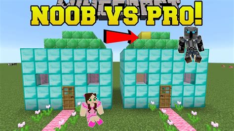 Minecraft Noob Vs Pro Spot The Difference Mini Game Youtube
