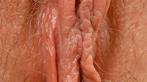 Female Textures Stunning Blondes Hd P Vagina Close Up Hairy Sex