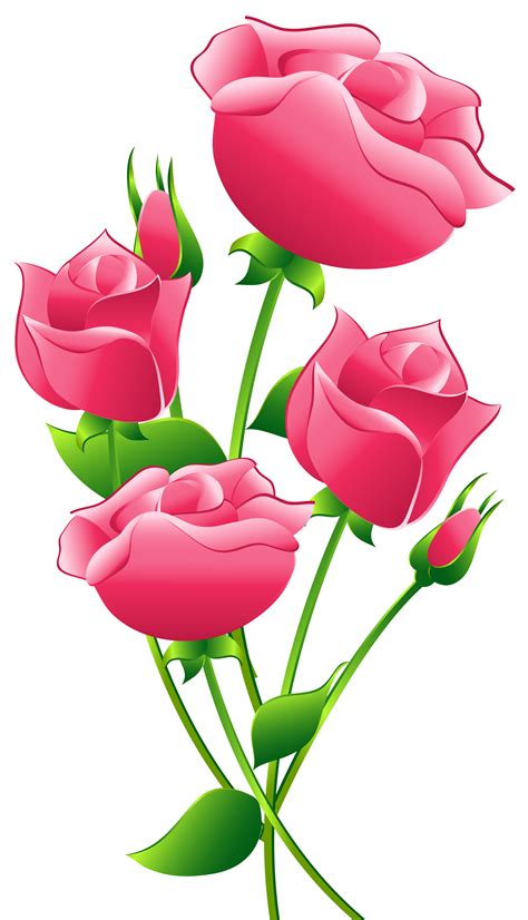 Three Pink Roses With Green Leaves