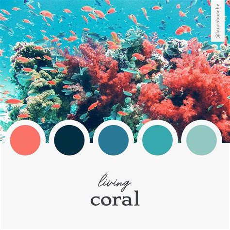 Brand Moodboard Living Coral Laura Busche Coral Colour Palette