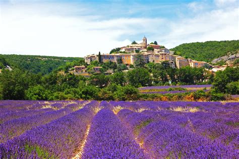Visiting The Provence Lavender Fields In France Rough Guides