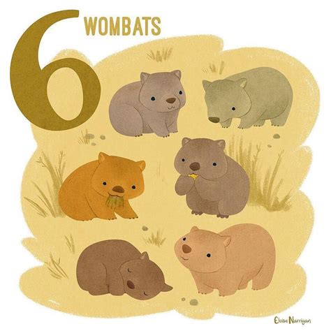 Six Wombats Another Marsupial Although This One Has A Backwards Facing
