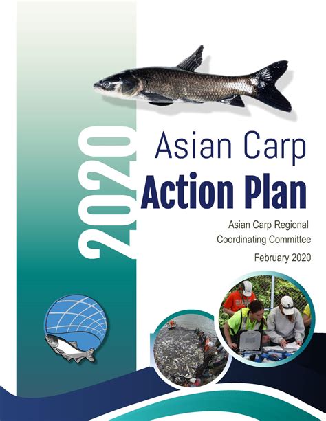 asian carp regional coordinating committee releases 2020 asian carp action plan