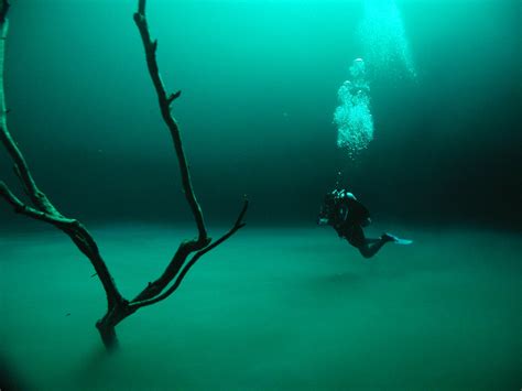 Amazing Under Water Photos From Advanced Diver Mexico In Cenote Angelita