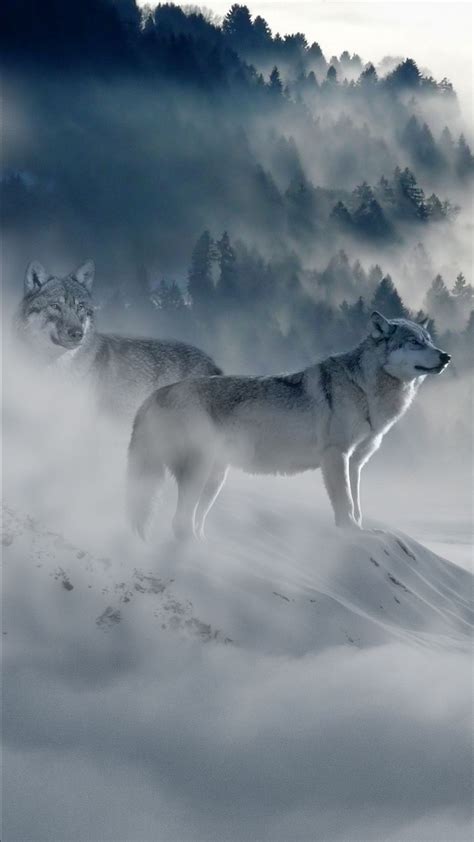 15 Wolf Hintergrundbilder Neon Bilder Tiere Hintergrund De