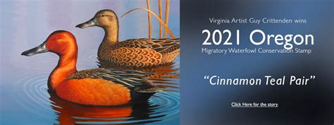 State Duck Stamp Designs By Guy Crittenden Tagged Duck Stamp Prints