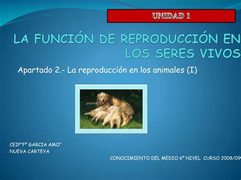 Ppt La FunciÓn De ReproducciÓn En Los Seres Vivos Powerpoint