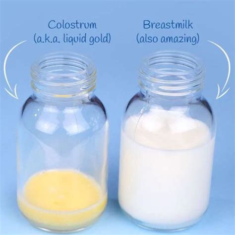 Colostrum Liquid Gold Birthing Days Doula Services