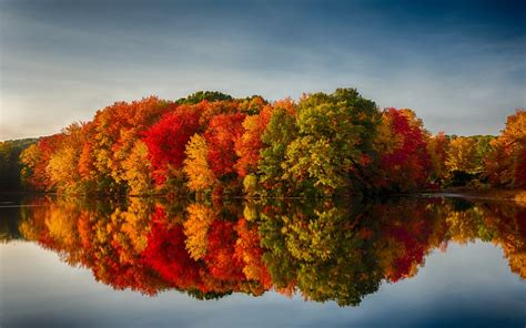 The science behind fall foliage - CASE NEWS