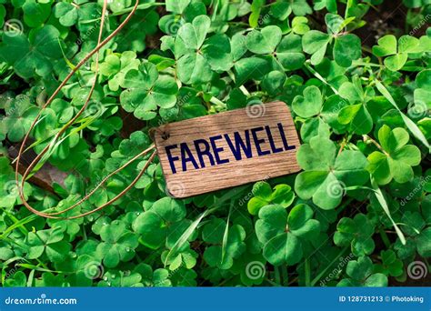 The Word Farewell Wooden Tag Stock Image - Image of departure