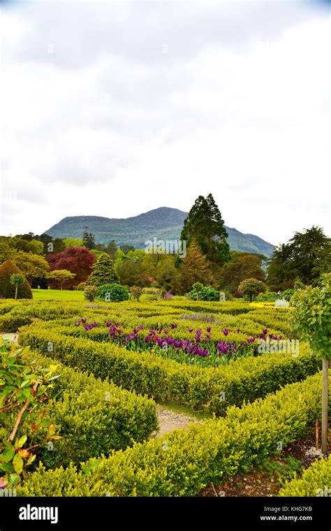 Muckross Gardens Killarney County Kerry Ireland Stock Photo Alamy