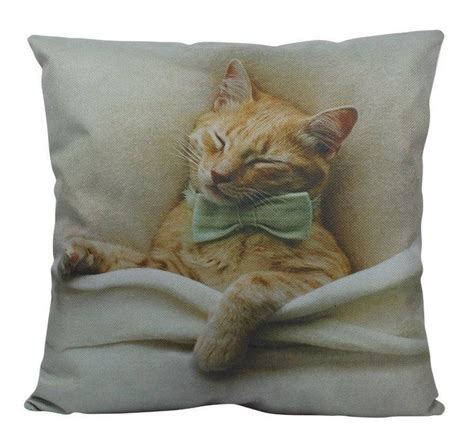 Sleeping Cat Pillow Cover Cat Lover Ts Throw Pillow Etsy