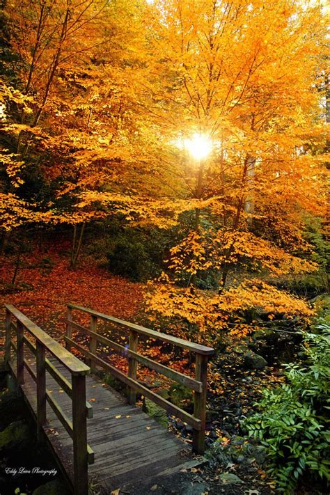 Autumn The Secret Garden ~ A Magical Autumn Walk By