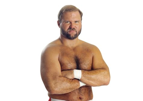 Image Arn Anderson Pro Png Officialwwe Wiki Fandom Powered By Wikia